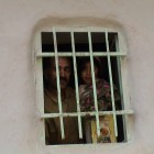 , گلی برای ره‌گذران