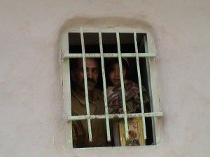 گلی برای ره‌گذران