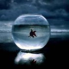 , تشنگیِ ماهی در آبِ تشنه