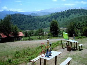 درختی سوخته است و سینه ای سیاه می شود -
  برای حذف قلیان از طبیعت ایران، هم‌پیمان شویم