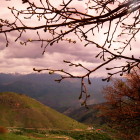, البرز مرکزی