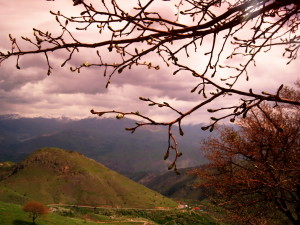 البرز مرکزی