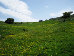 چشم انداز سرزمین جیران ده
