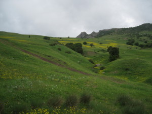 چشم انداز سرزمین جیران ده